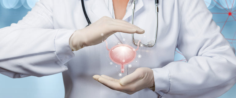 The concept of the protection and support of the bladder of the patient.