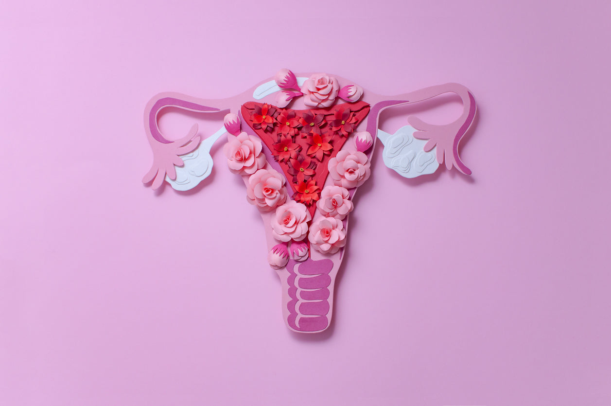 A uterus made out of paper.