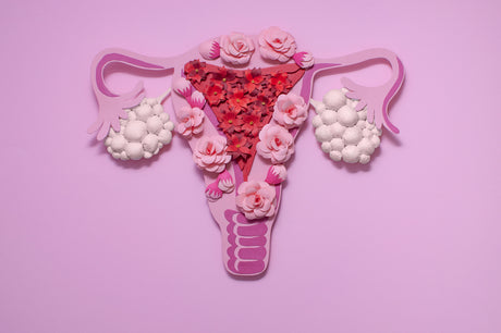 A paper diagram of a uterus.