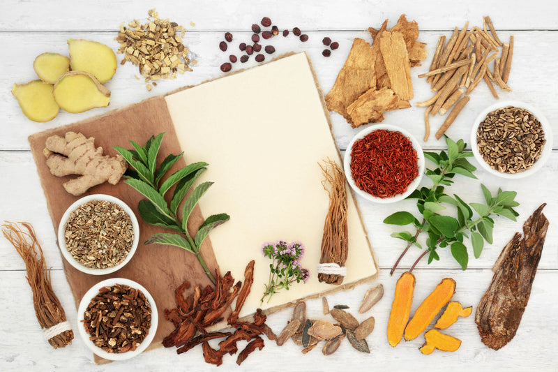 Herbal medicine preparation for immune system protection with fresh and dried herbs and spices with hemp notebook. Healthy food concept high in antioxidants, anthocyanins, vitamins and minerals. "n