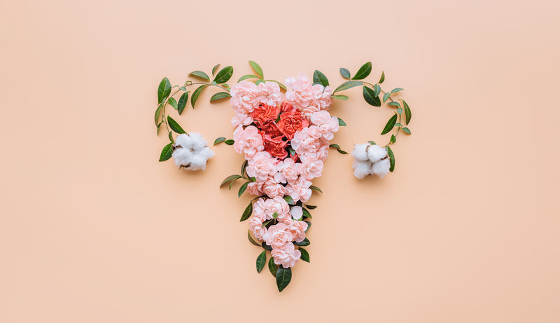 A diagram of female anatomy using florals.