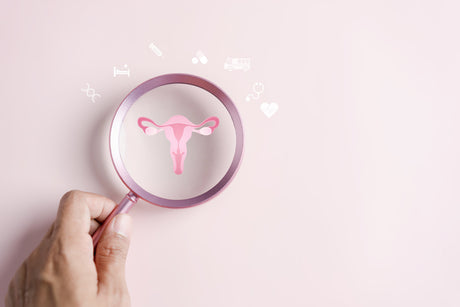 A magnifying glass over a graphic depiction of the female reproductive system.