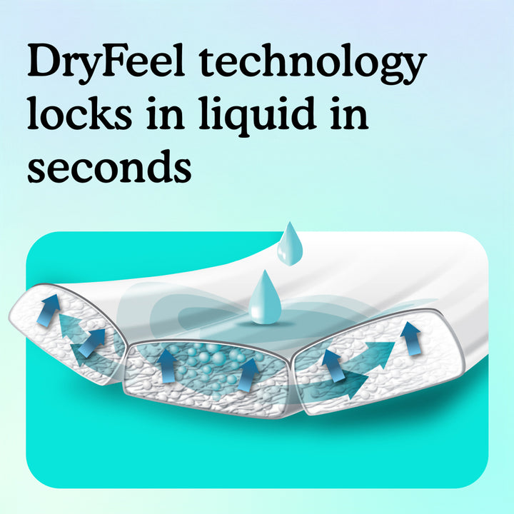 Interior Because underwear graphic with text "DryFeel technology locks in liquid in seconds" on teal background.