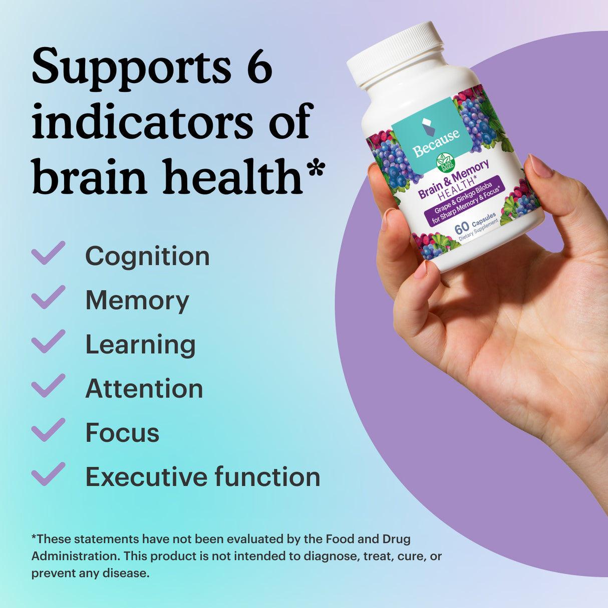 List of 6 indicators of brain health that the supplement supports