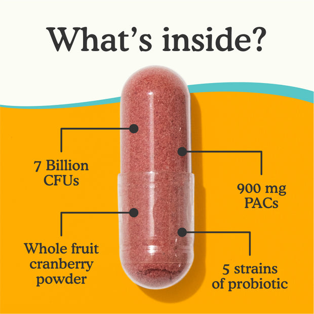 What's inside the UTI Defense Probiotic? It's composed of 7 billion CFUs, 900 mg PACs, Whole fruit cranberry powder, 5 strains of probiotic.