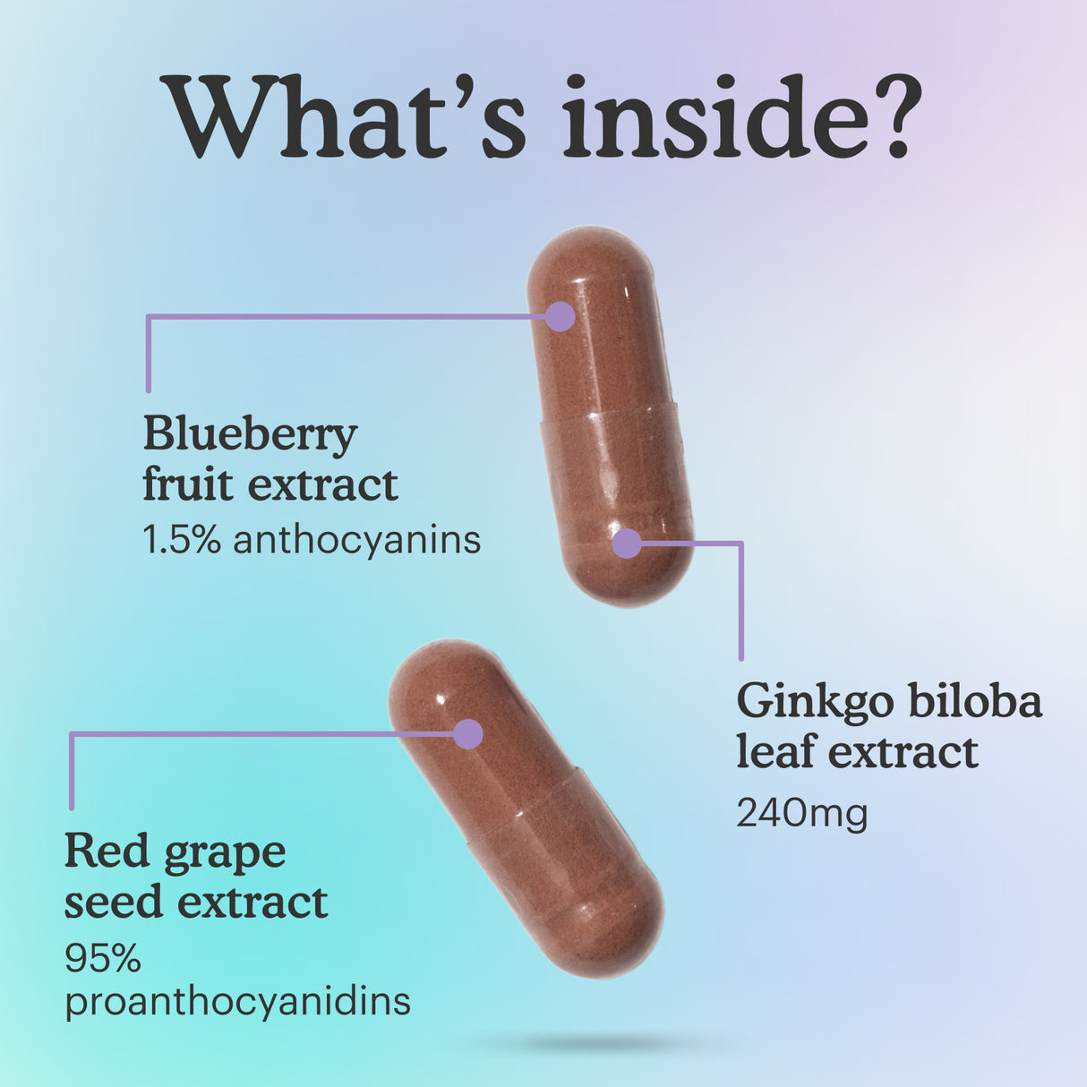 Two supplement capsules highlighting its content: Blueberry fruit extract, Red grape seed extract and Ginkgo biloba leaf extract