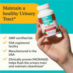 Hand holding bottle of Because UTI supplement with text "maintain a healthy urinary tract" on white and blue background